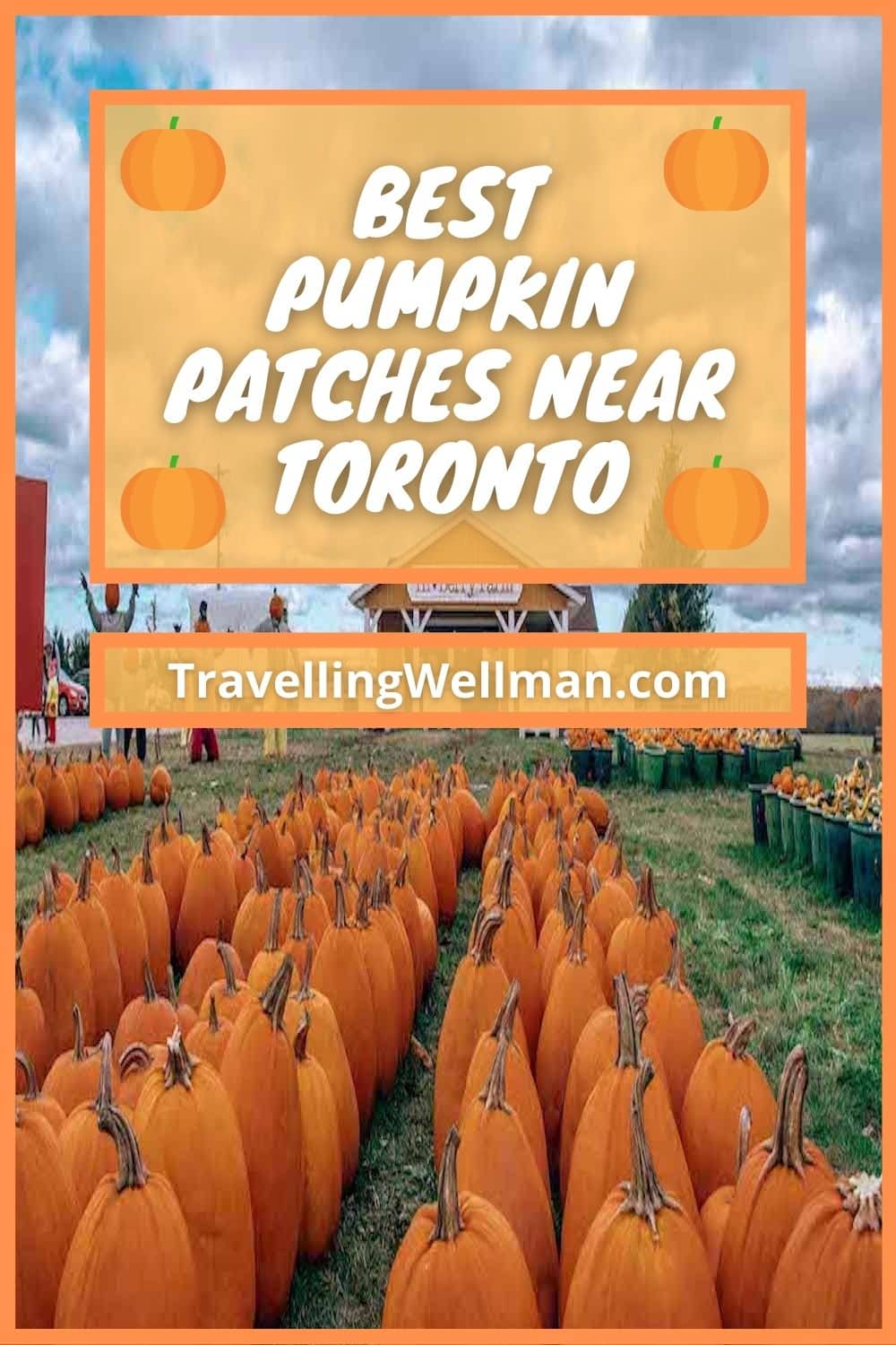 Best Toronto Pumpkin Patch