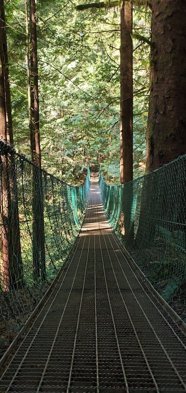 Juan de Fuca Trail Suspension Bridge