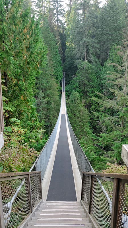 4 Days in Vancouver Capilano Suspension Bridge Park